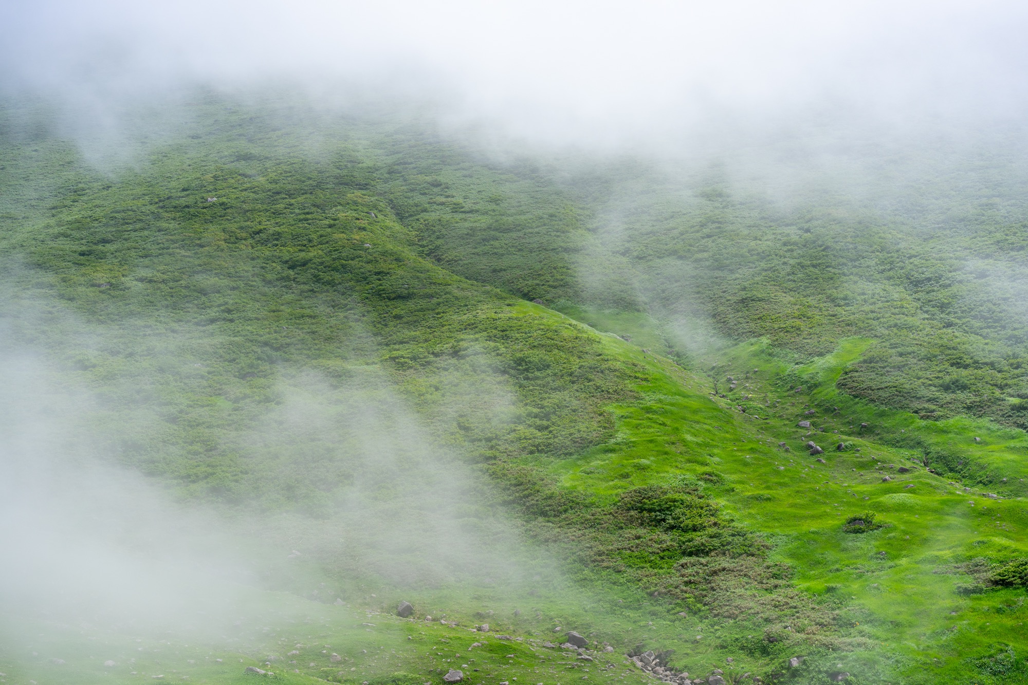 Photo Works — 16