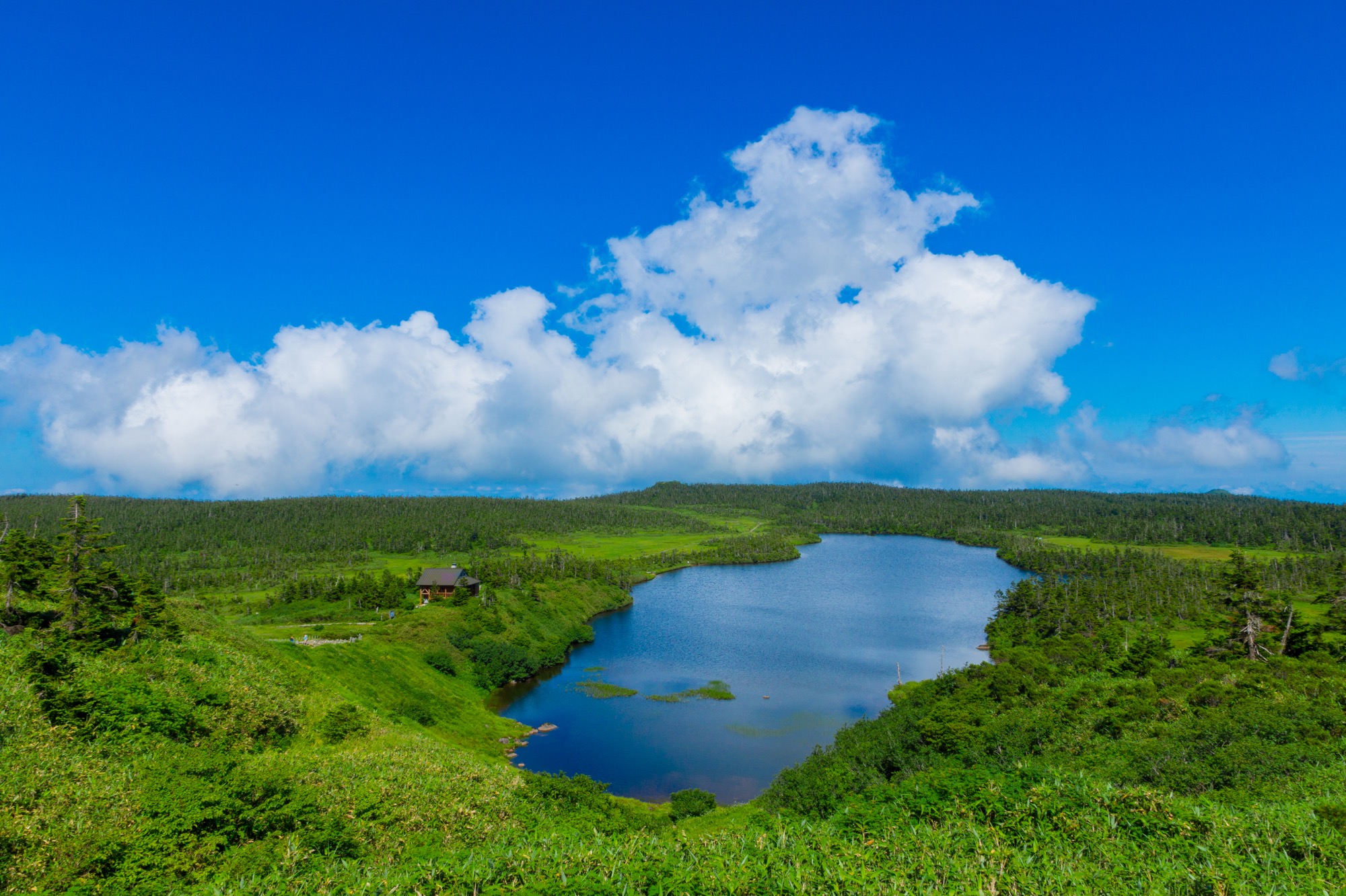 Photo Works — 17