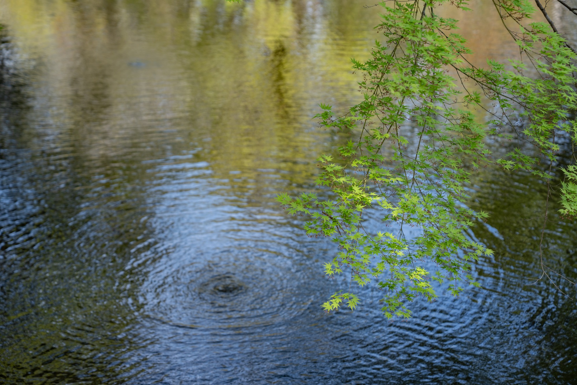 Photo Works — 18
