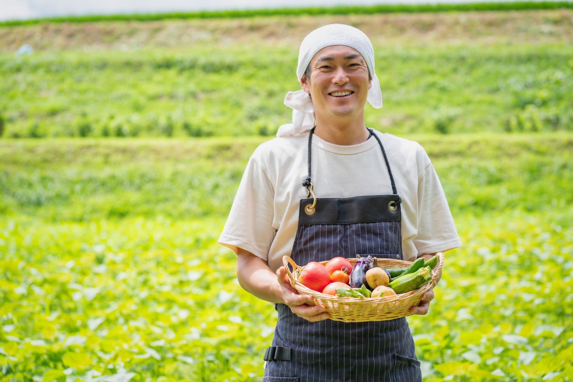 生産者
