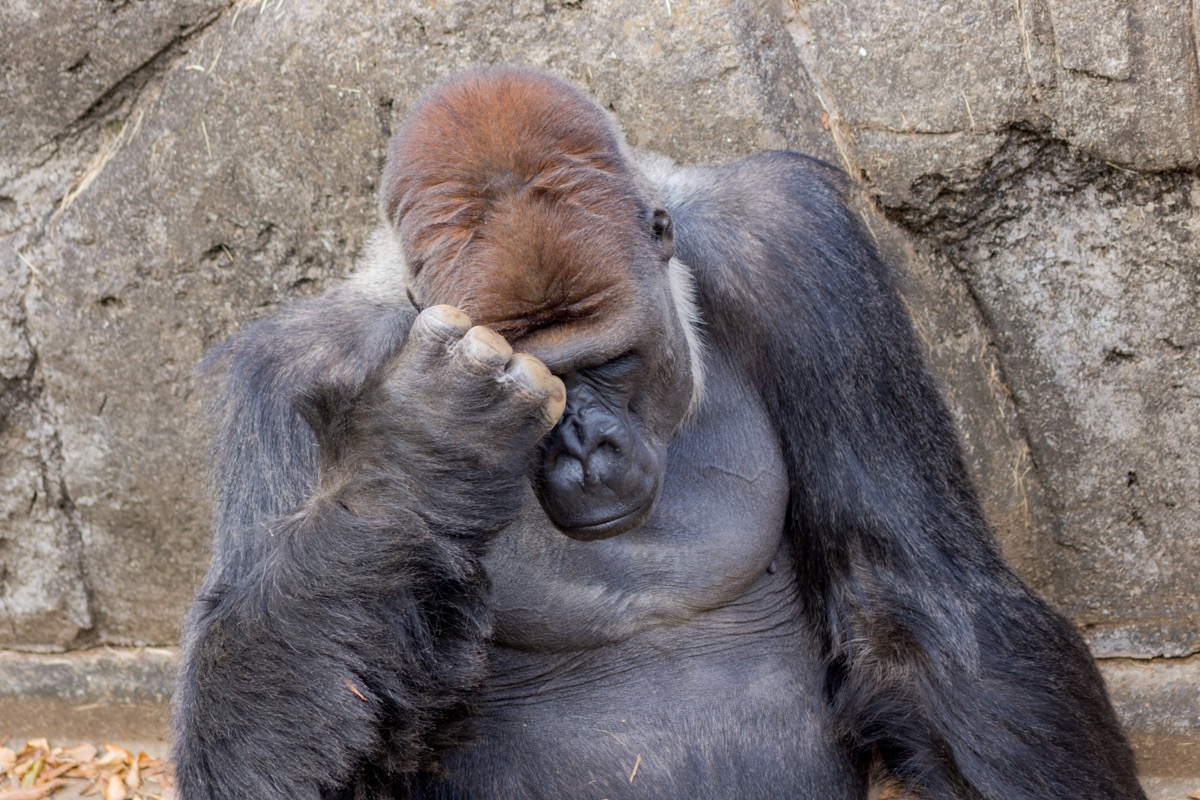 sugiwork_satuei-sample_54